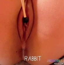  被窩取暖白漿流出來了啦 rabbit 大象